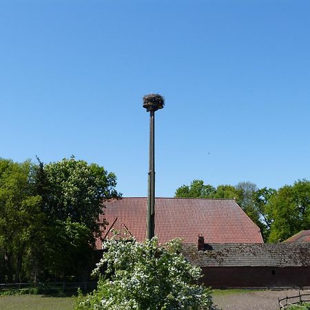 Zur Amsel Apartment Damnatz Bagian luar foto