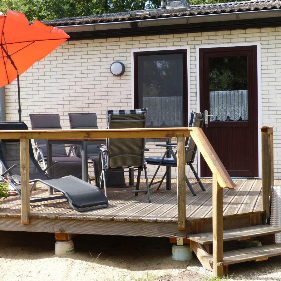 Zur Amsel Apartment Damnatz Bagian luar foto